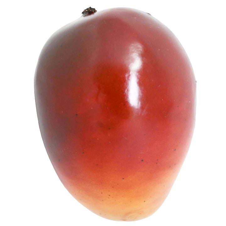 *NO CA*Mango C/P 288