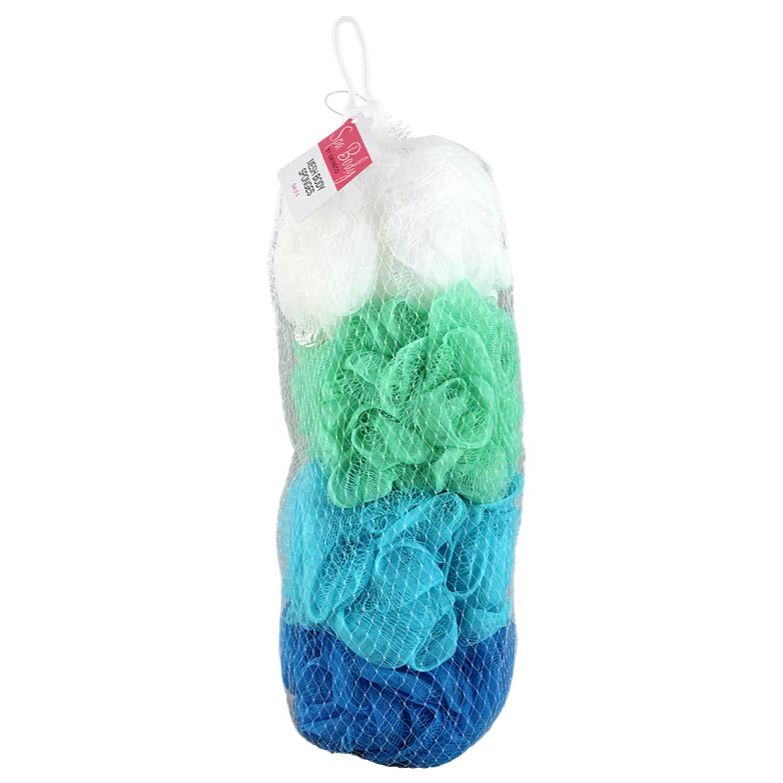 4pc MESH SPONGE IN NET BAG C/P 12