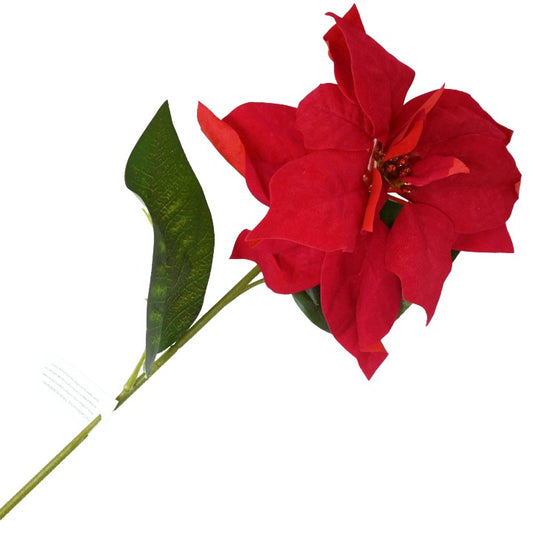 RED VELVET POINSETTIA STEM C/P 144