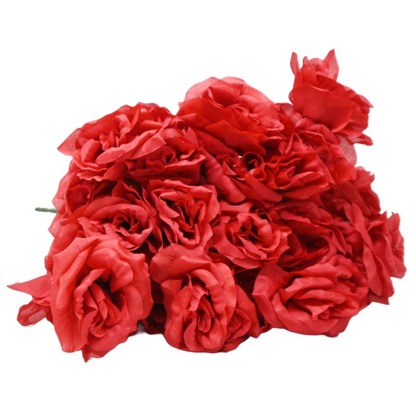 Red Rose Bush 6 Flowers C/P 288
