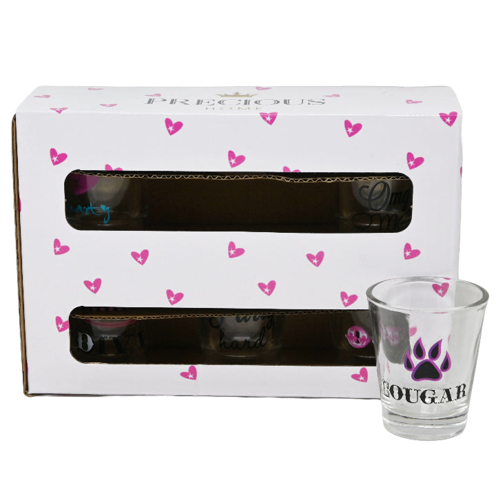 6pc 1.7oz GIRLS NITE OUT SHOT GLASS SET C/P 12