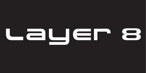 LAYER 8